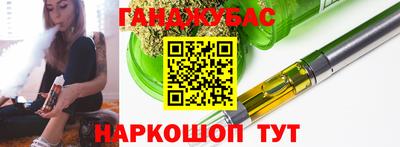 сатива Кандалакша