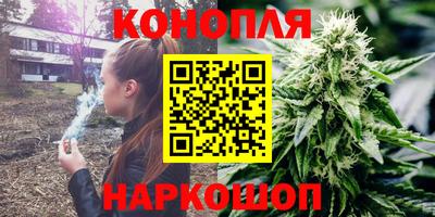 дмт Камышлов
