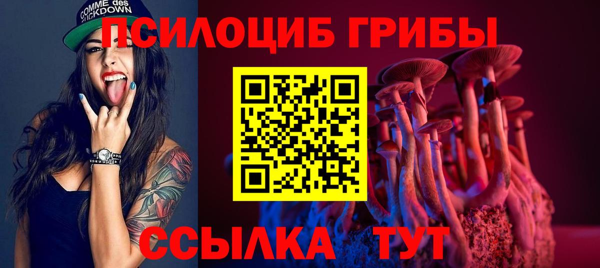 Галлюциногенные грибы прущие грибы  Вход с VPN  Людиново 